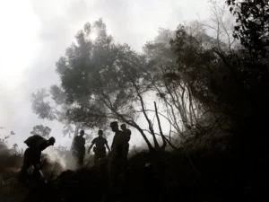Milagro en el Guaviare.