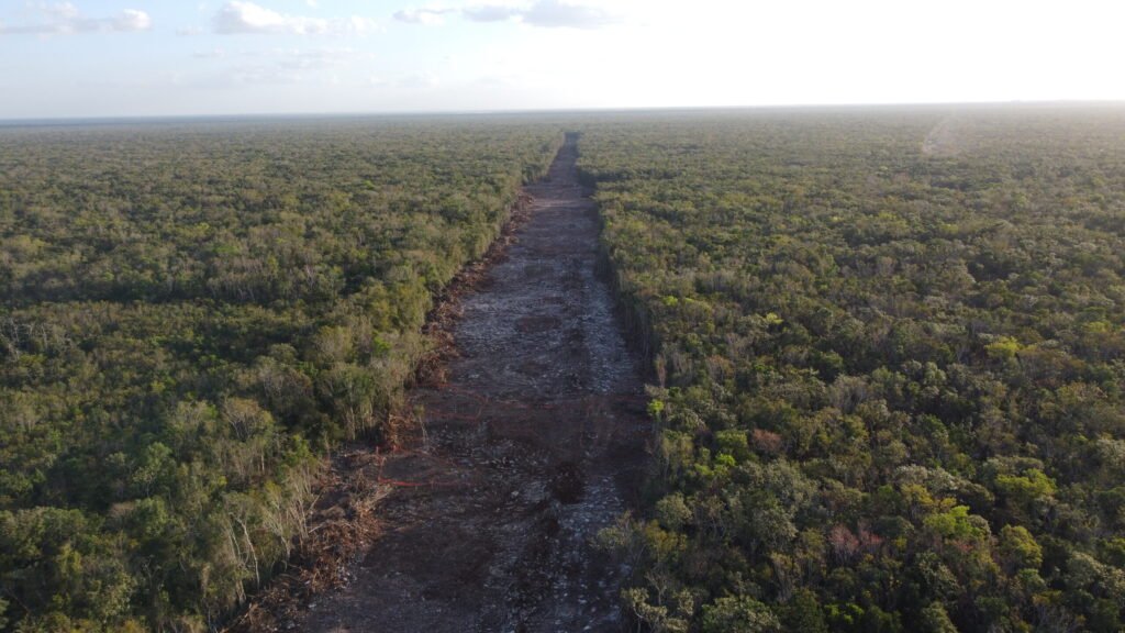 Megaproyecto asesino.