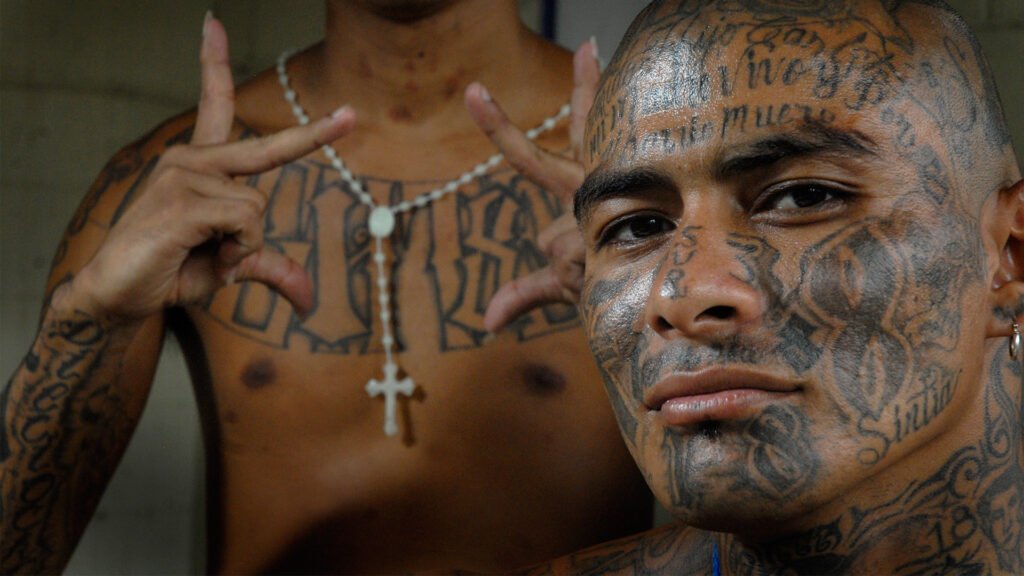 365 días sin homicidios.