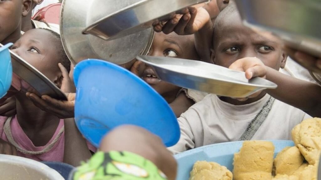 Crisis Alimentaria 2023.