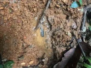 Huellas de los niños perdidos.