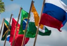Los BRICS organizan la educación.