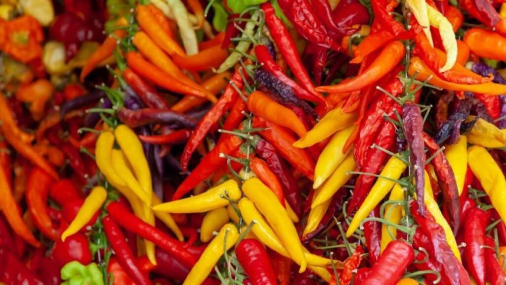 Los chiles picantes de México.