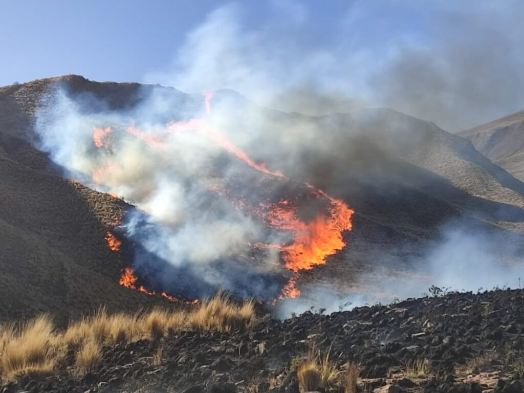Páramos en llamas.