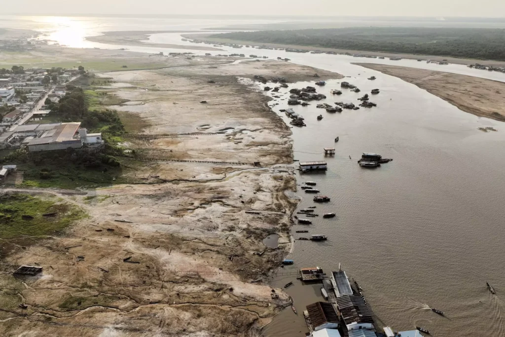 La sequía catastrófica del Amazonas.