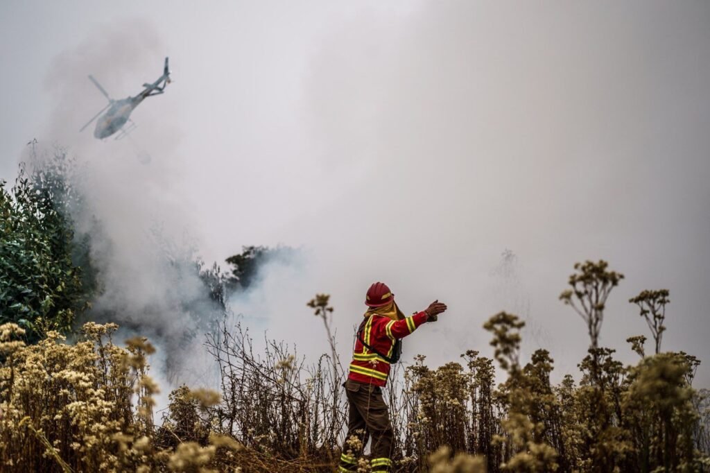 Incendios forestales azotan a Chile y Colombia.