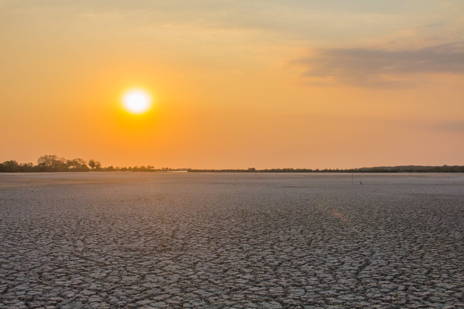 El niño cambia el clima del planeta.