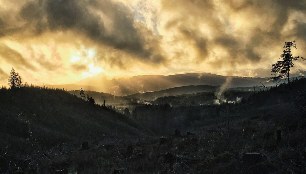 La Deforestación Global avanza.