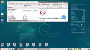 Puppy Linux: el sistema que revive portátiles antiguos cargando todo en la RAM